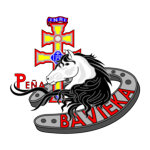 logoBavieka