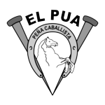 logoPua